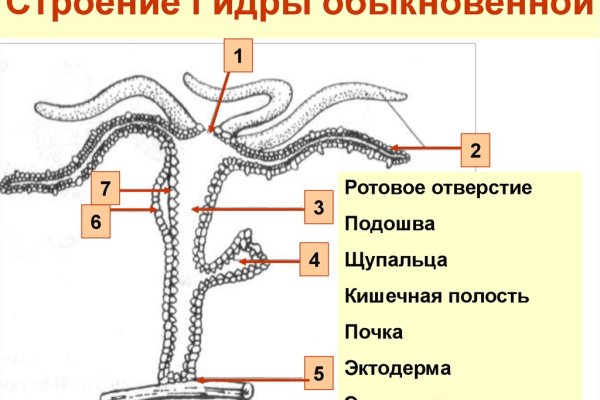 Кракен точка ат